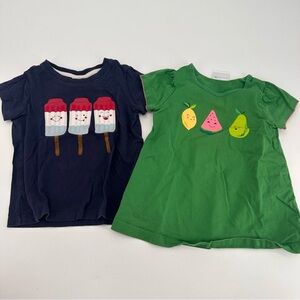 Hanna Andersson Fruit & Popsicle Short Sleeve Tees Lot of 2 100 4 4T FLAW